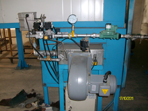 ��Ȼ�⿾��