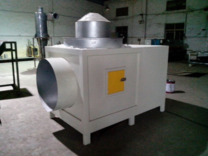 �����w���t